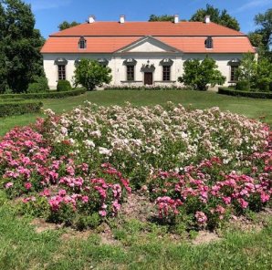 Dzień Otwarty w Pałacu w Oborach/SPRZEDANE 6