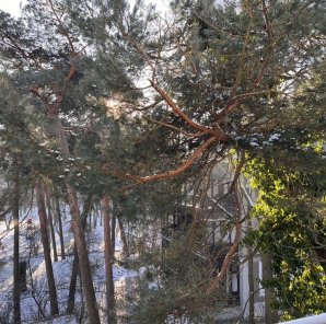 Do wynajęcia nowoczesne mieszkanie w dobrej lokalizacji w Konstancinie. WYNAJĘTE 5