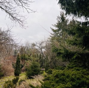 1199m², Działka budowlana z drewnianym domem, Konstancin-Jeziorna 1