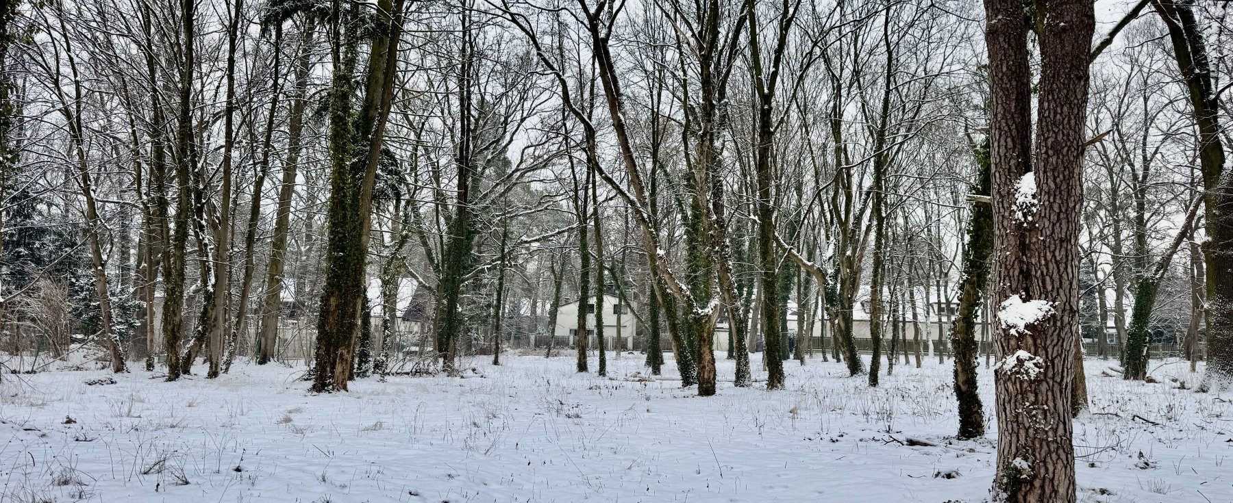 6470 m², działka budowlana w Centrum Konstancina. 