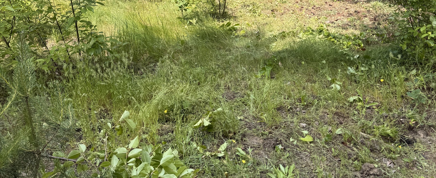1100 m² działka budowlana Parcela Obory.