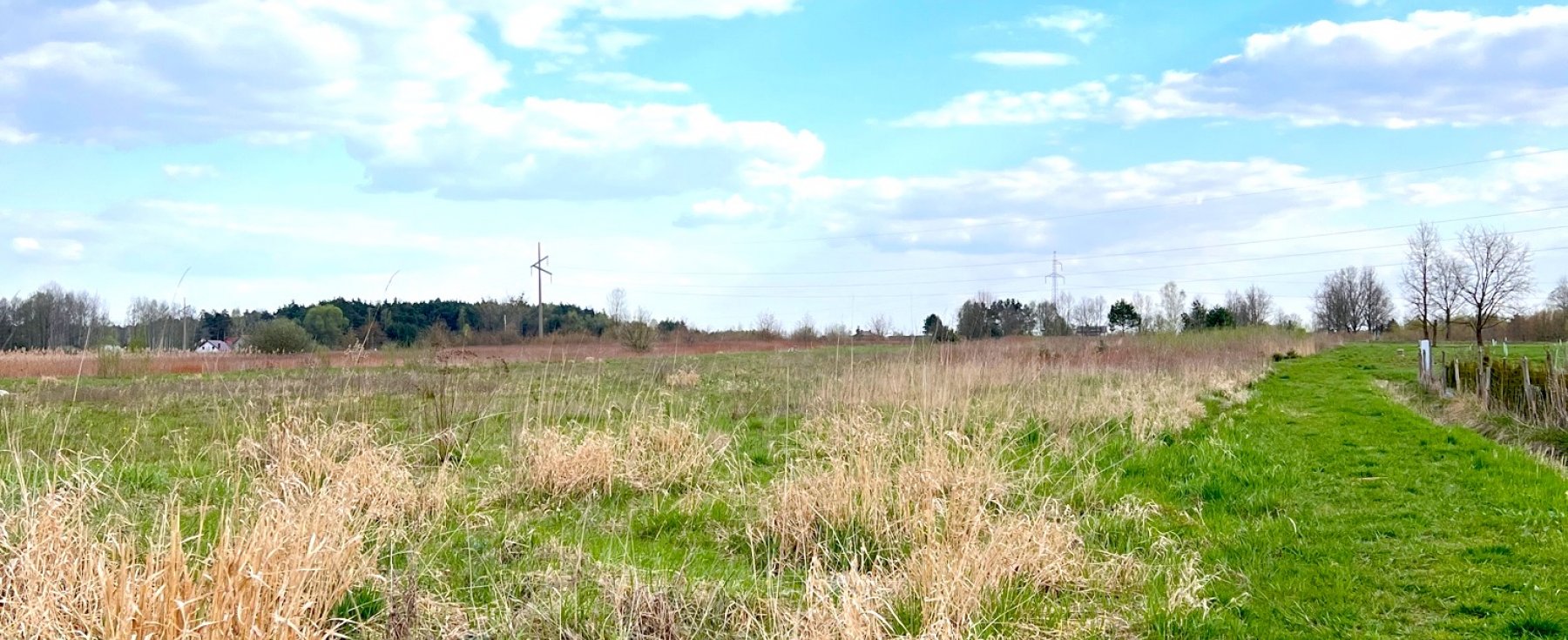 1200m2, Działka budowlana za lasem w Borowinie