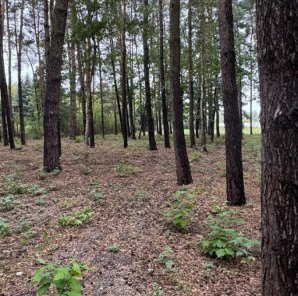 1656 m2, Działka gotowa pod zabudowę, Chylice