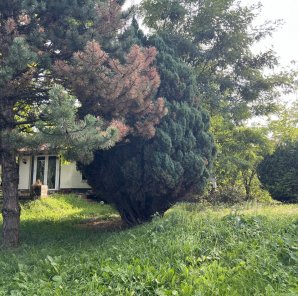 Dom o unikatowym położeniu na skarpie w Słomczynie 11
