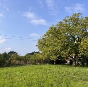 Dom o unikatowym położeniu na skarpie w Słomczynie 4
