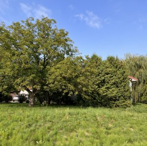 Dom o unikatowym położeniu na skarpie w Słomczynie 7