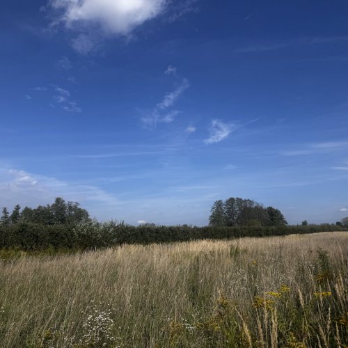 Siedlisko w Podłęczu 1