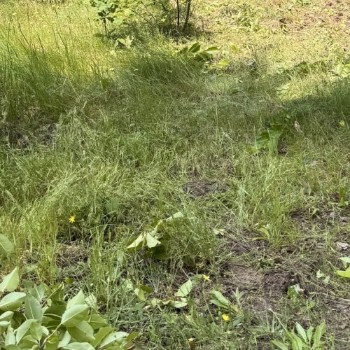 1100 m² działka budowlana Parcela Obory.