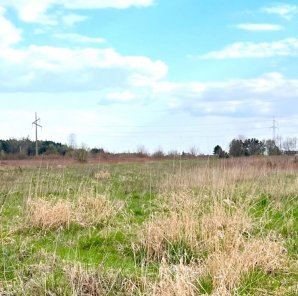 1200m2, Działka budowlana za lasem w Borowinie