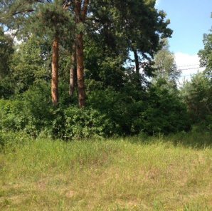 2075 m², Konstancin, Królewska Góra