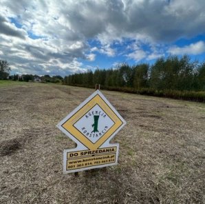 2106m2 Czernidła 1