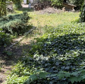 2800m2, Foremna działka budowlana w pieszej odległości od parku zdrojowego