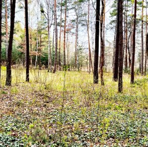 2712m2, Konstancin-Jeziorna, działka budowlana