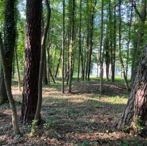 3915m2, Działka blisko lasu. Konstancin-Jeziorna